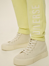 Штани спортивні DIVERSE Divjog модель 10044004 Фото