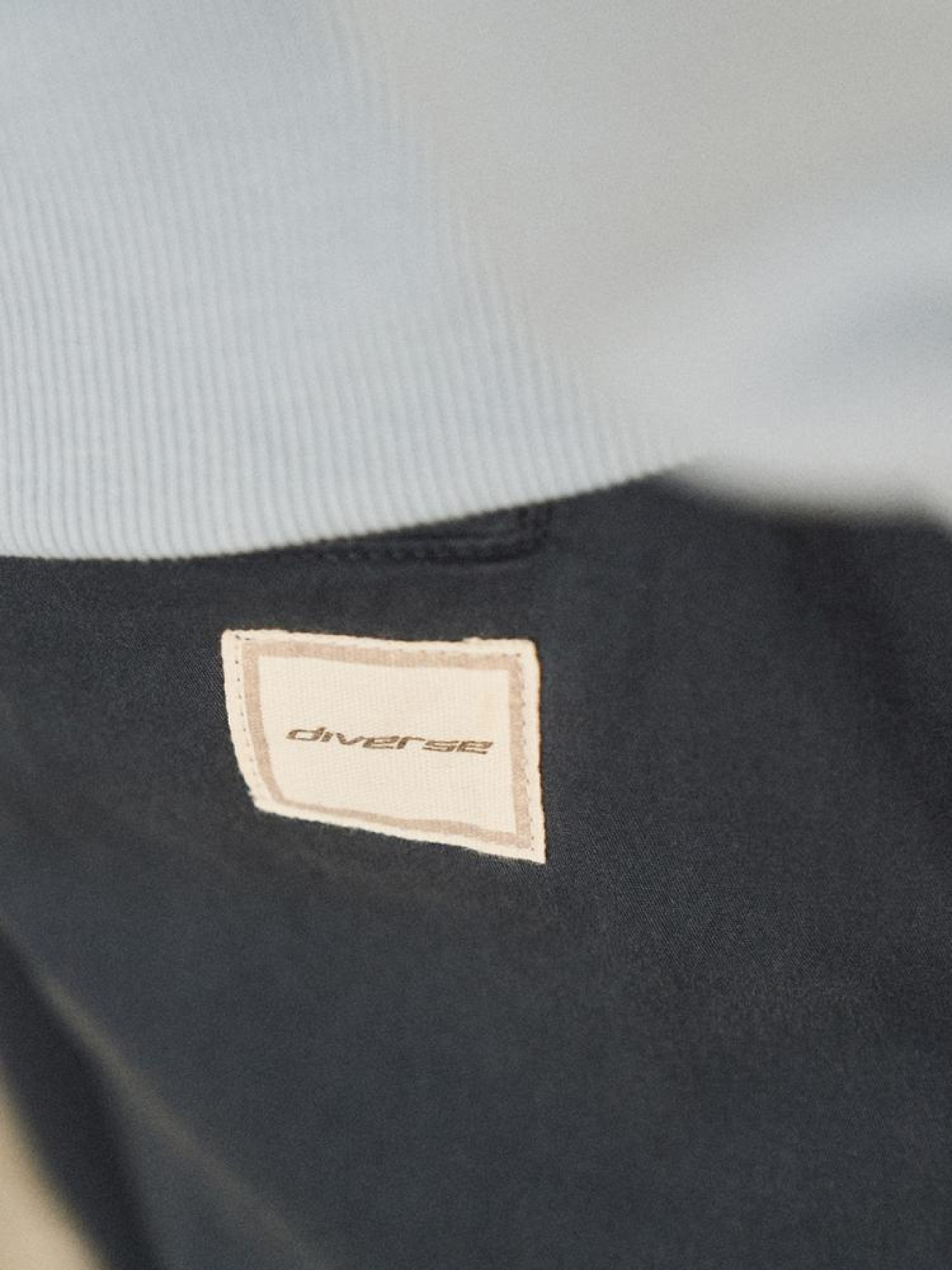 Джоггеры DIVERSE Jogs Zip 244 модель 10044953 Джоггеры DIVERSE Jogs Zip 244 модель 10044953 Фото