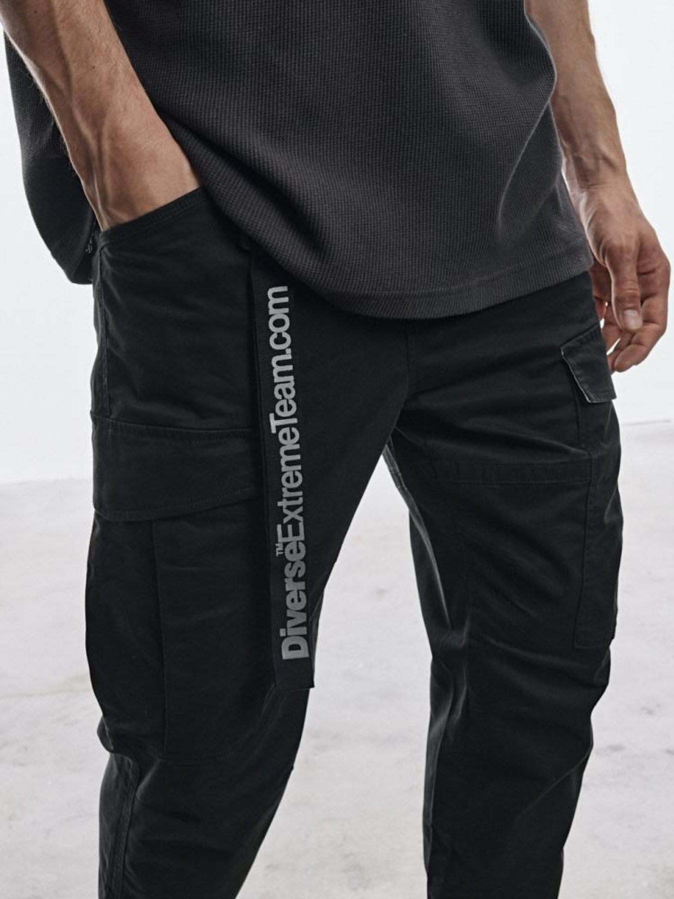 Карго DIVERSE Dext Cargo 08 модель 10045290 Фото