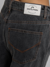 Широкі джинси DIVERSE Cltn Fiti модель 10045835 Фото