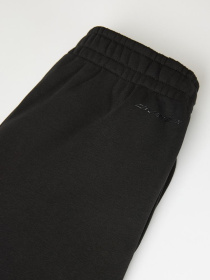 Штаны спортивные DIVERSE Klasi B модель 10046110 Фото