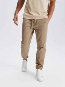 Джоггеры DIVERSE Postes Lg 251 модель 10046156 Фото