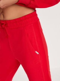 Штани спортивні DIVERSE Famaori модель 10037537 Фото