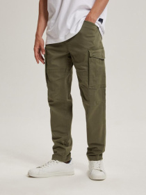 Карго DIVERSE Thorns 234 модель 10042629 Фото