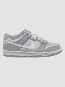 Кроссовки NIKE Dunk Low Two-Toned модель DH9765-001 Фото