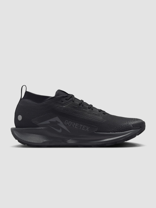 Кроссовки NIKE Pegasus Trail 5 модель FQ0908-002 Фото