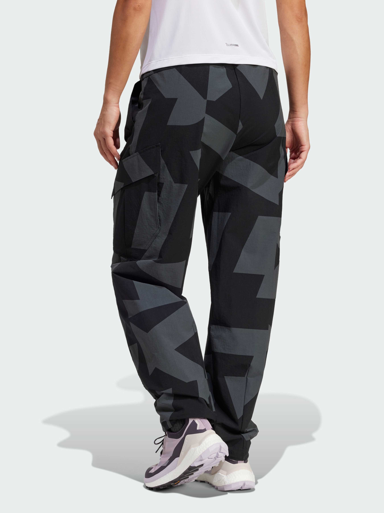 Штани спортивні Adidas Terrex модель JF3702 Фото