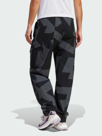 Штани спортивні Adidas Terrex модель JF3702 Фото