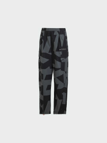 Штани спортивні Adidas Terrex модель JF3702 Фото