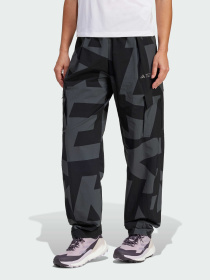 Штани спортивні Adidas Terrex Модель JF3702 Фото