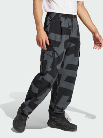 Штаны спортивные Adidas Terrex модель JF3716 Фото