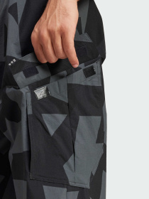 Штаны спортивные Adidas Terrex модель JF3716 Фото