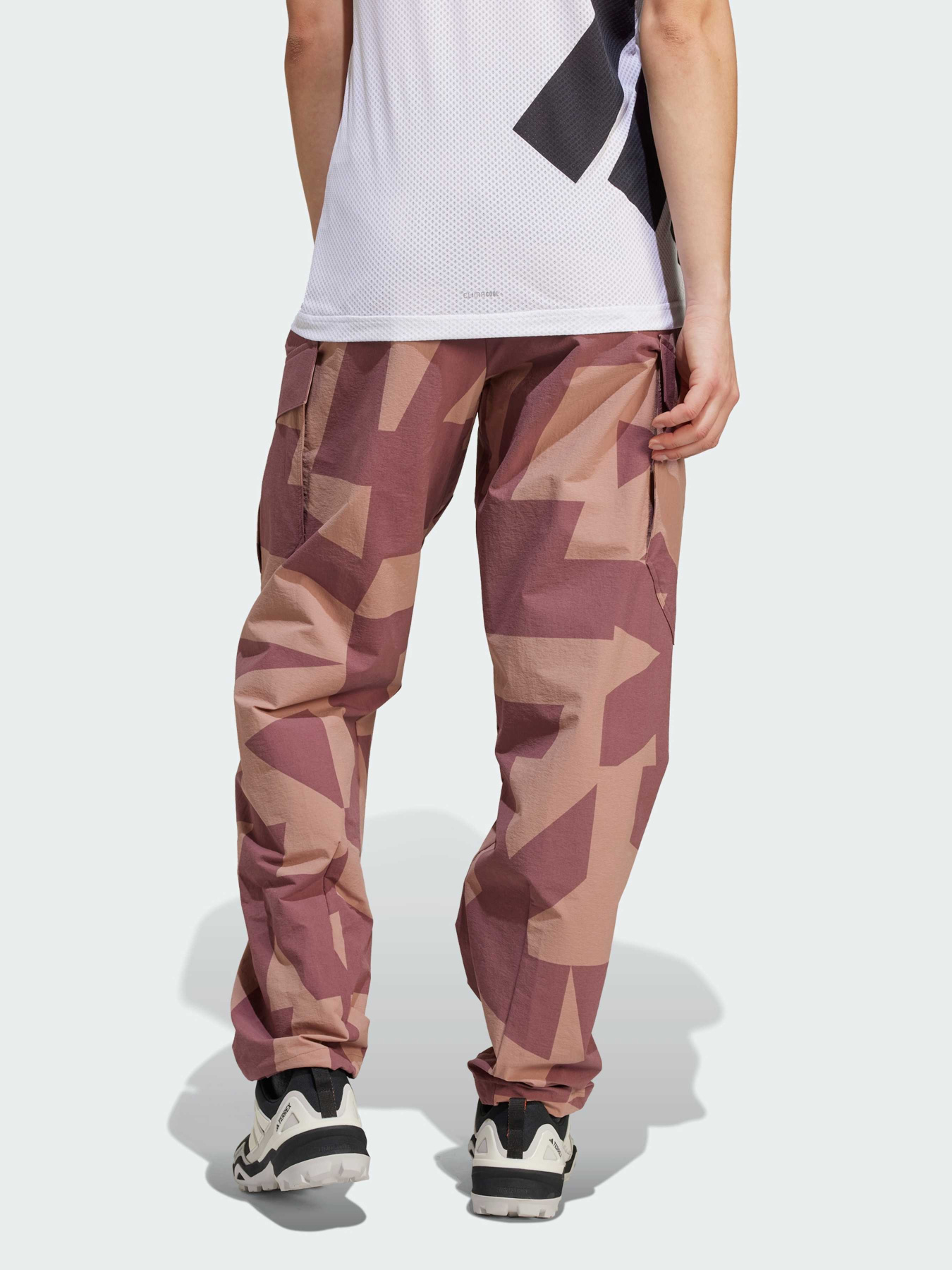 Штани спортивні Adidas Terrex модель JE9430 Фото