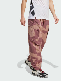 Штани спортивні Adidas Terrex модель JE9430 Фото