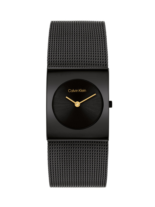 Часы Calvin Klein модель 25100109 Фото