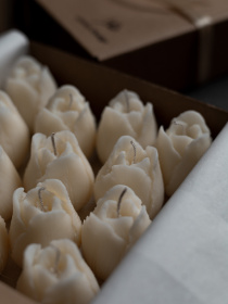 Набір ароматичних свічок "Весняний тюльпановий сад", натуральний оливковий віск Candle Design модель 200.0091 Набір ароматичних свічок "Весняний тюльпановий сад", натуральний оливковий віск Candle Design модель 200.0091 Фото