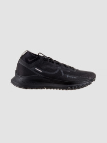 Кроссовки NIKE React Pegasus Trail Gore - Tex модель DJ7926-008 Фото