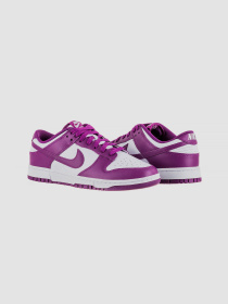 Кросівки повсякденні NIKE Dunk Low Retro модель DV0833-107 Фото