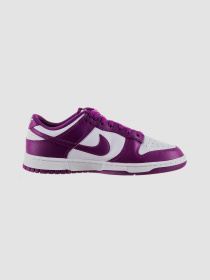 Кросівки повсякденні NIKE Dunk Low Retro модель DV0833-107 Фото