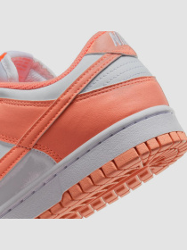 Кросівки NIKE Dunk Low Next Nature модель DD1873-109 Фото