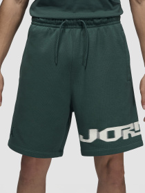 Шорты NIKE модель FV7231-366 Фото