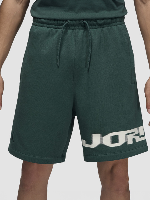 Шорты NIKE модель FV7231-366 Фото