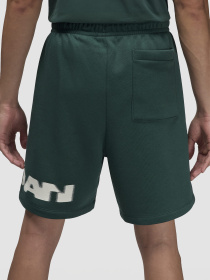 Повседневные шорты NIKE модель FV7231-366 Фото