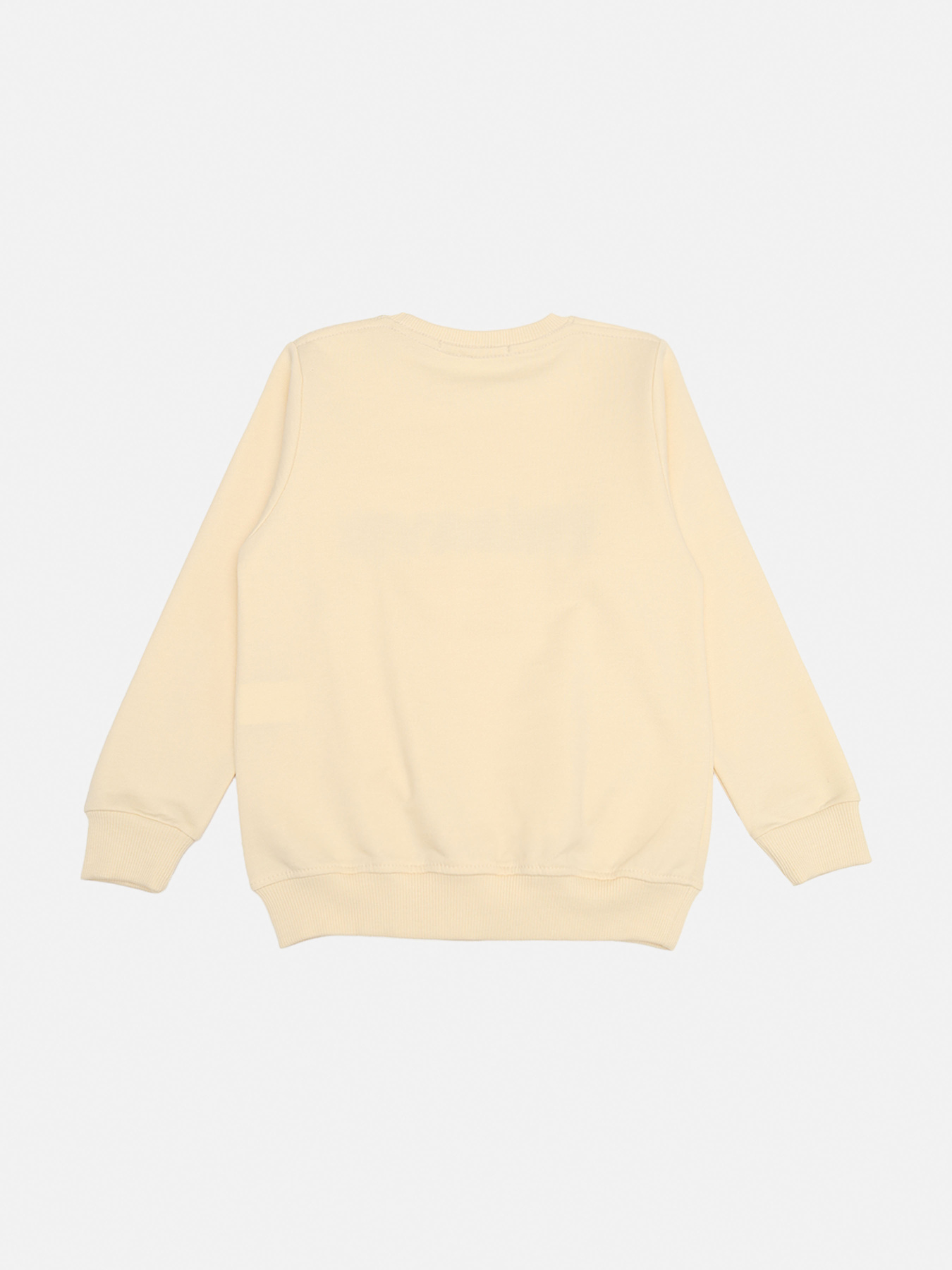 Світшот YUKI модель ЦБ-00272539 Фото