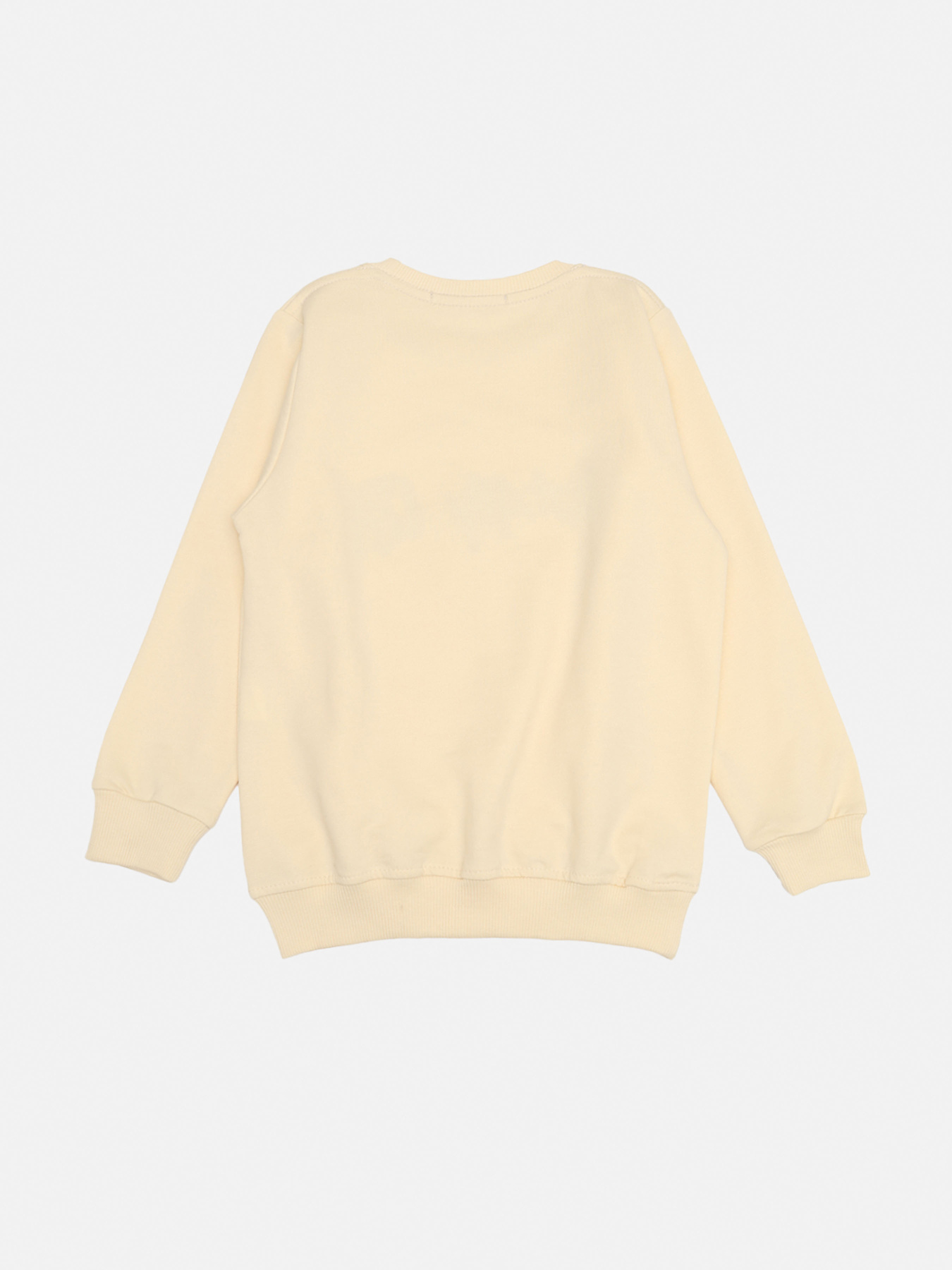 Світшот YUKI модель ЦБ-00272540 Фото