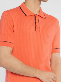 Поло Arber модель M09.58.37.521 Фото