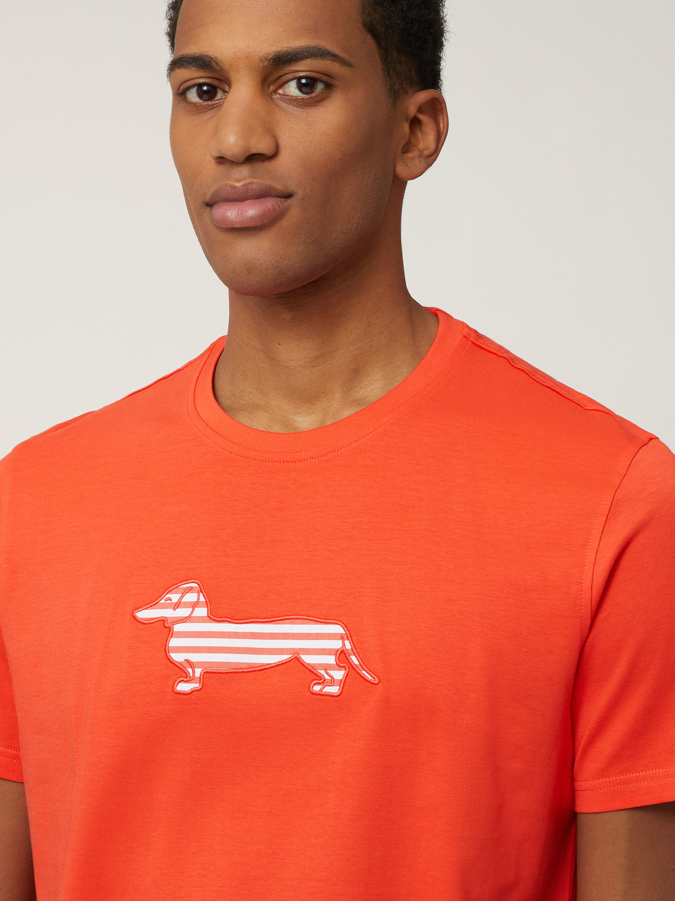 Футболка Harmont&Blaine модель IRN003021055R_400 Фото