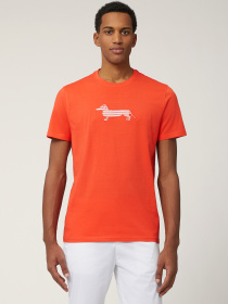 Футболка Harmont&Blaine модель IRN003021055R_400 Фото