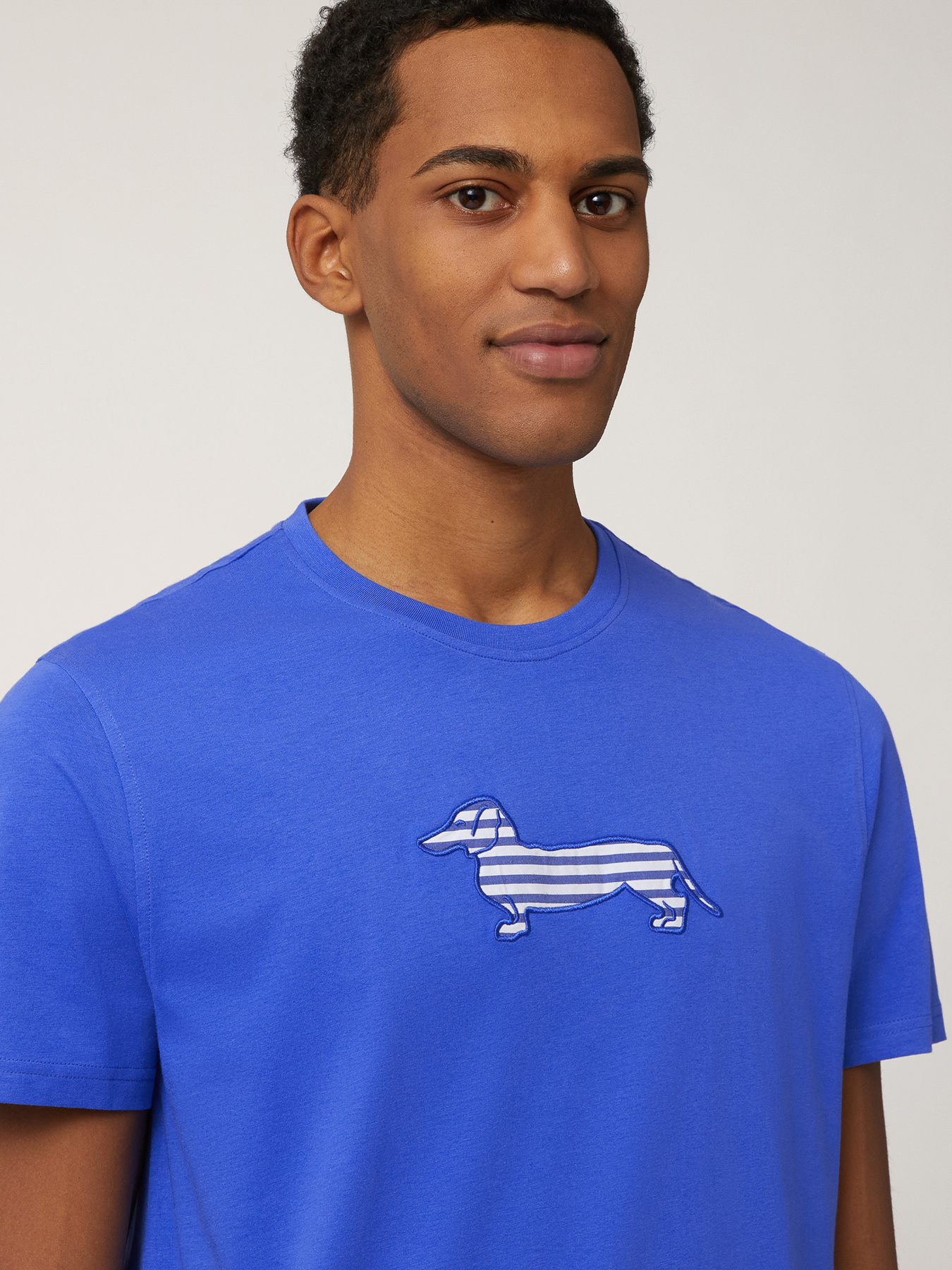 Футболка Harmont&Blaine модель IRN003021055R_844 Фото