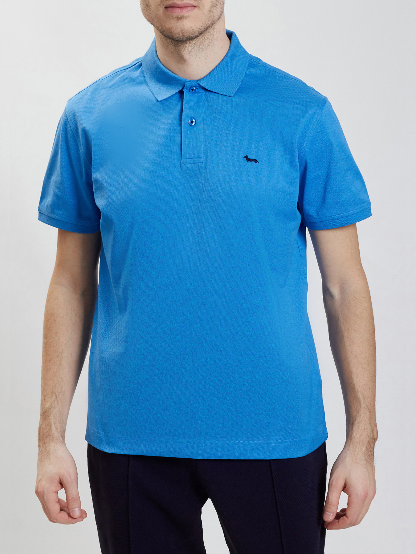 Поло Harmont&Blaine модель LRN451021148_855 Фото