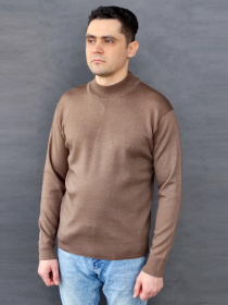 Водолазка Sun's House модель RG-51-golf-korichnevij Водолазка Sun's House модель RG-51-golf-korichnevij Фото