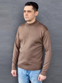 Водолазка Sun's House модель RG-51-golf-korichnevij Водолазка Sun's House модель RG-51-golf-korichnevij Фото