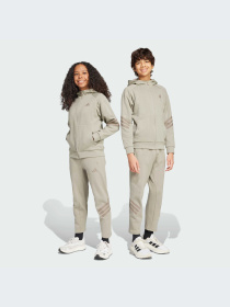Брюки Adidas модель JJ4810-KZ Фото