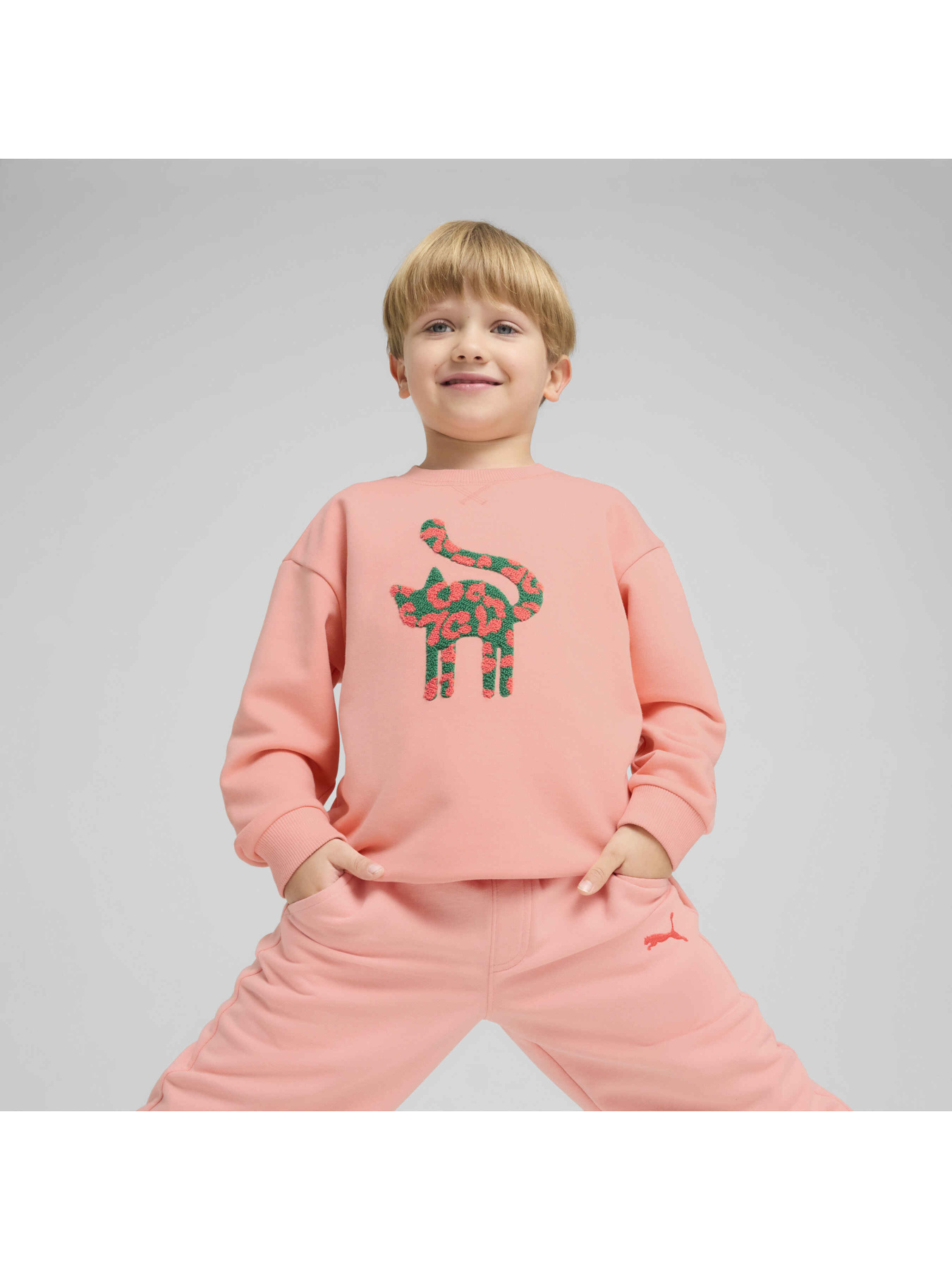 Свитшот PUMA Cats Club Crew модель 685162 Фото