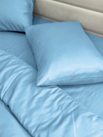 Комплект постельного белья Blue голубого цвета Ecotton модель 24557 Фото