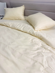 Комплект постельного белья Cream Yellow молочный Ecotton модель 24555 Фото