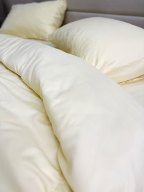 Комплект постельного белья Cream Yellow молочный Ecotton модель 24555 Фото