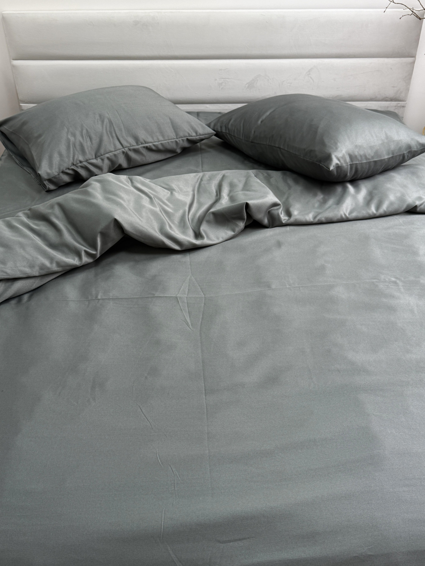 Комплект постельного белья Nid Grey тёмно-серый Ecotton модель 24556 Фото