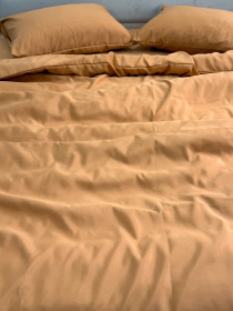 Комплект постельного белья Orange оранжевый Ecotton модель 12345 Фото