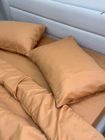 Комплект постельного белья Orange оранжевый Ecotton модель 12345 Фото