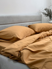 Комплект постельного белья Orange помаранчевий Ecotton модель 12345 Фото