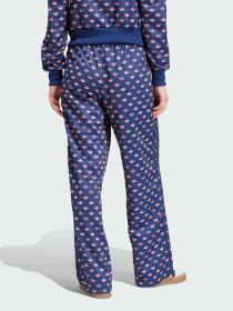 Штани повсякденні Adidas Graphics модель IY0326 Фото