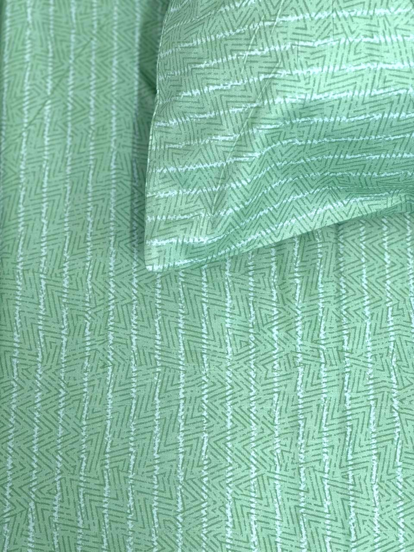 Комплект постельного белья Тропічна папороть Ecotton модель 23348-21006 Фото