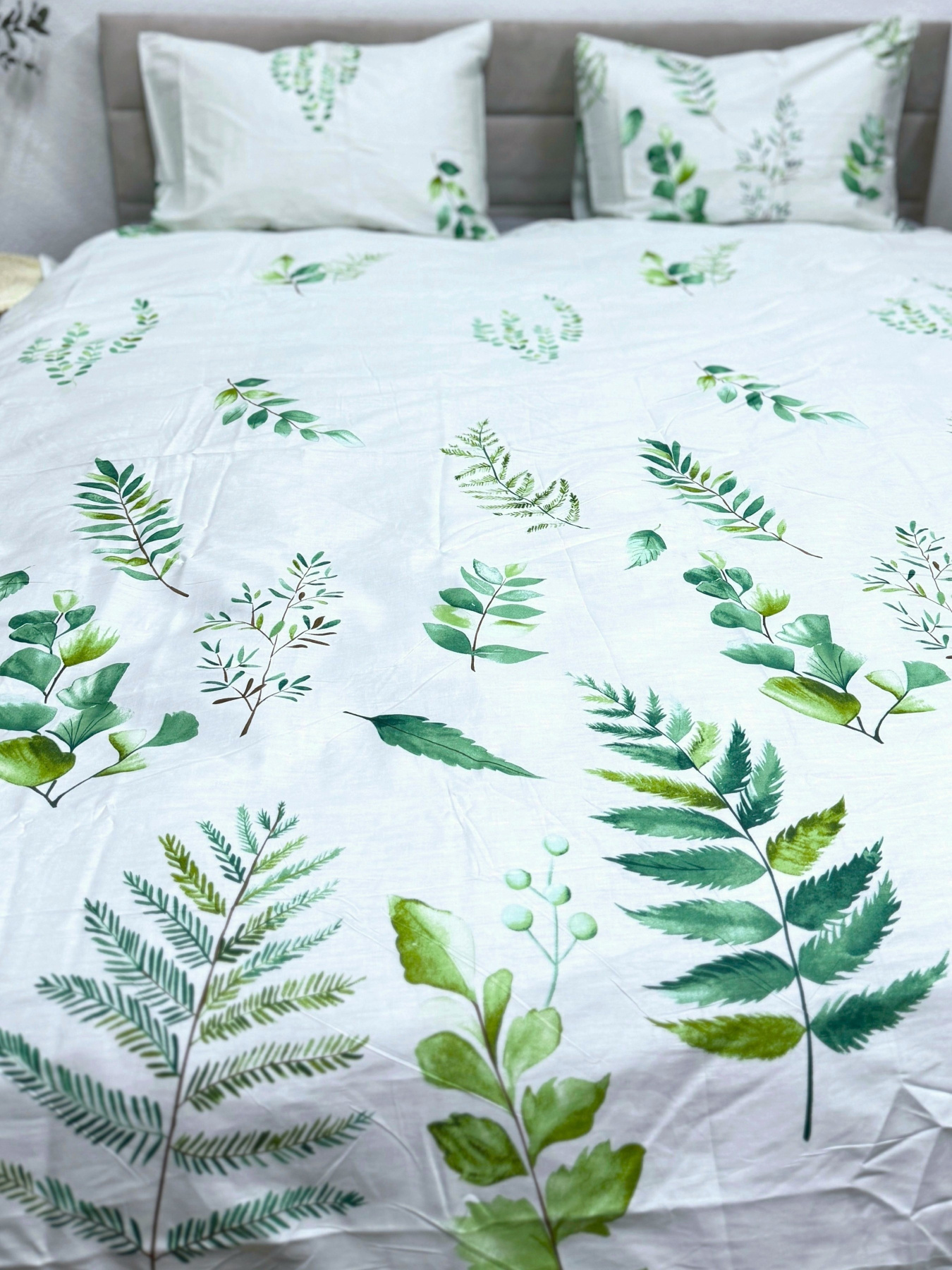 Комплект постельного белья с Папоротником Ecotton модель 23671 Фото