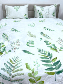 Комплект постельного белья с Папоротником Ecotton модель 23671 Фото