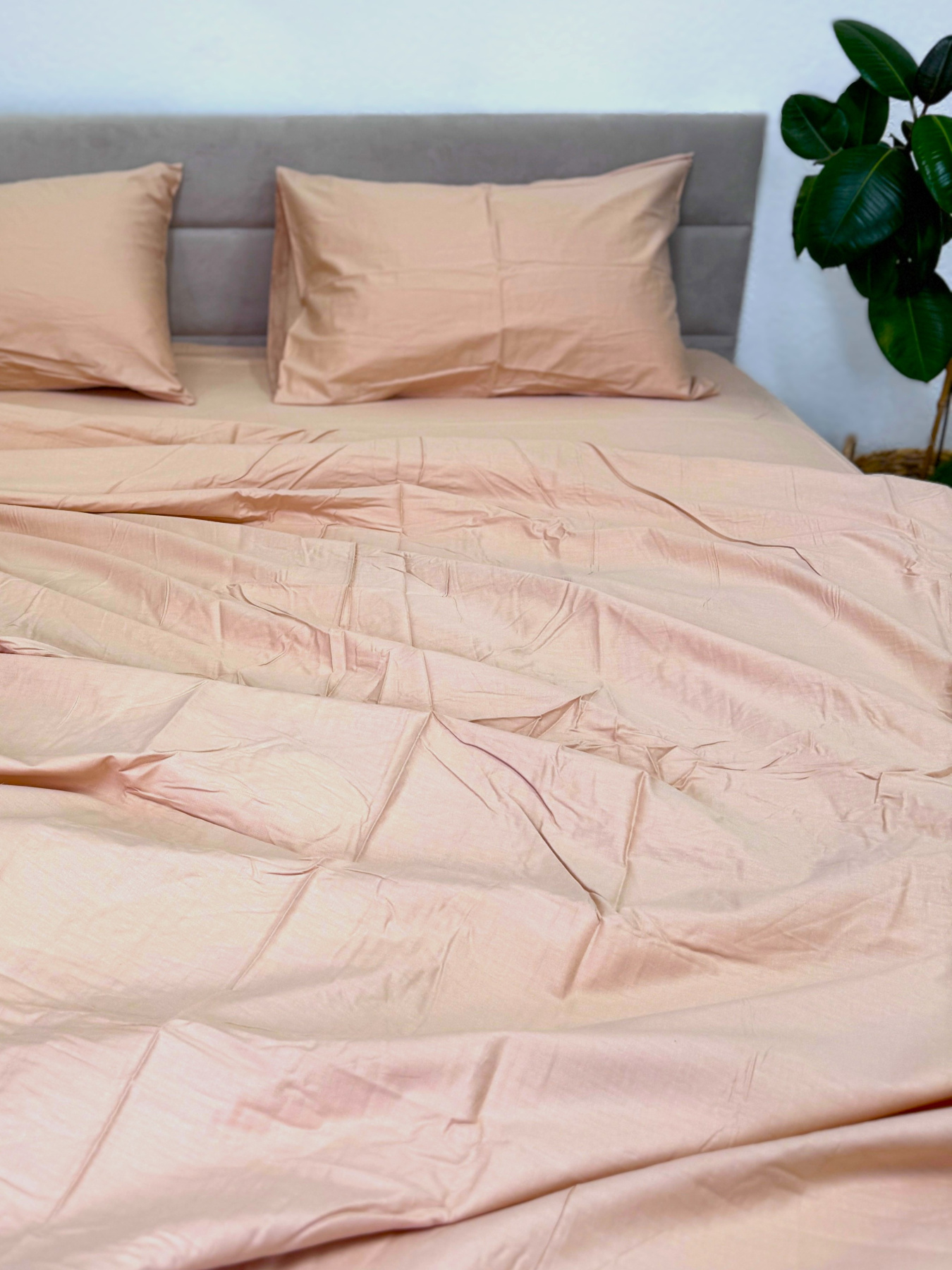 Комплект постільної білизни полуторний однотонний бежевий (159А) Ecotton модель 22901 Фото